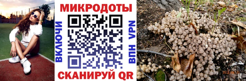 Галлюциногенные грибы Cubensis  блэк спрут вход  Брянск 