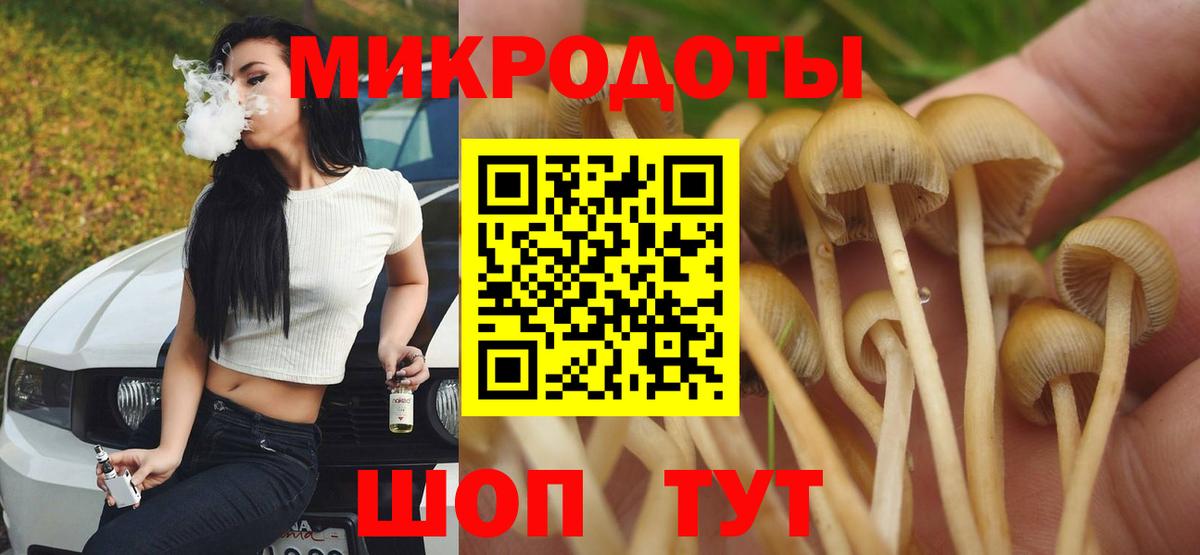 Брянск  Галлюциногенные грибы Psilocybe  цена   Вход с VPN 